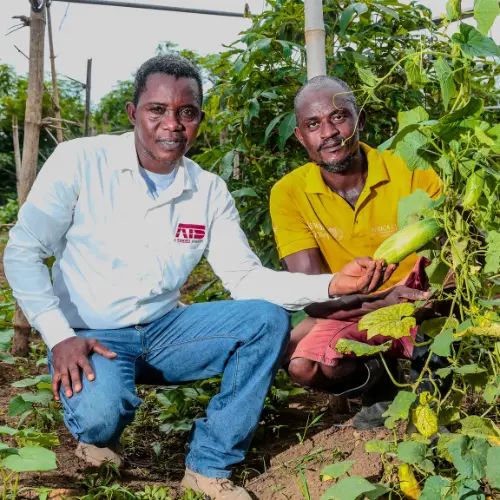 ATS supporting local farmers through community agriculture initiatives